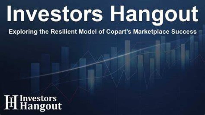 Exploring The Model's Financial Success