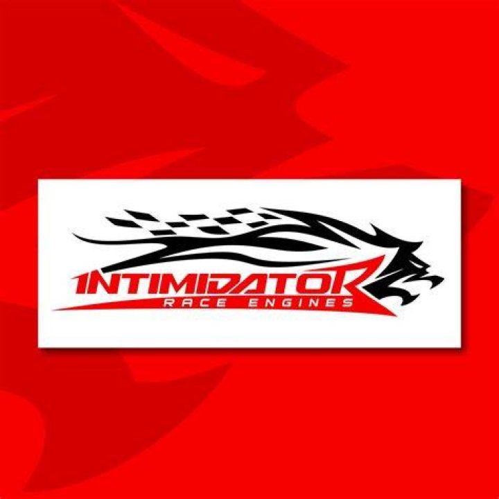 “Intimidating to the Intimidator Himself” Dale Earnhardt Jrs’ Sister