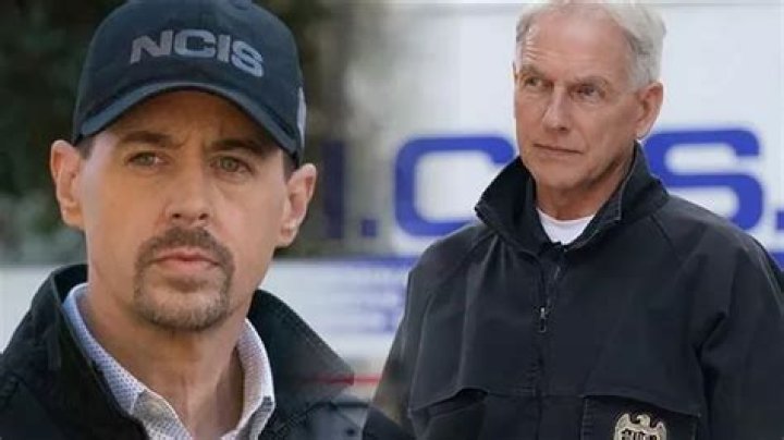 ncis mcgee Google Search Gibbs Ncis, Leroy Jethro Gibbs, Sean Murray
