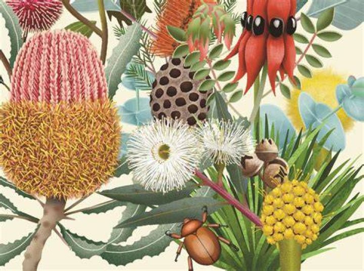 Uncover The World Of Flora Oosterhouse: A Journey Of Design Inspiration