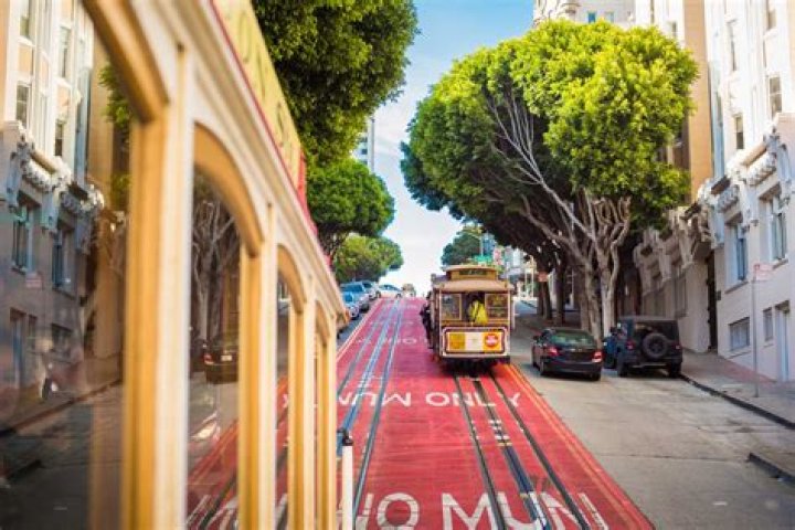 Unlock The Secrets Of San Francisco's Iconic "Muni Long Nose Job"