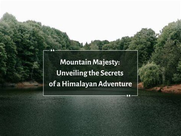 Unveiling The Secrets Of Mountain Biking Mastery: Daniel Pitout's Insights